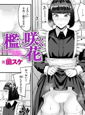 田スケ×単話❤檻に咲く花（単話）評価